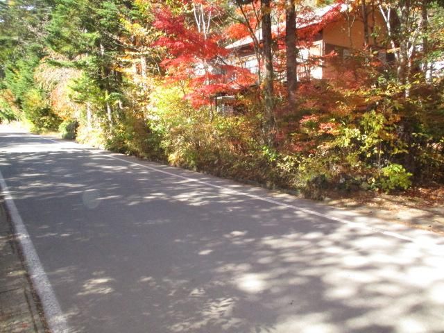 Land for Sale in Karuizawa, Nagano - 751.46 sqm - Thumbnail 3