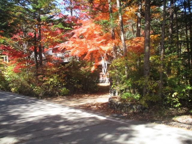 Land for Sale in Karuizawa, Nagano - 751.46 sqm - Thumbnail 2