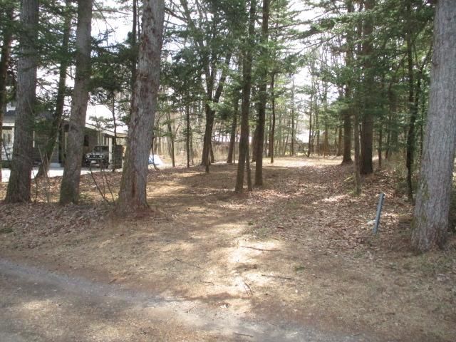 Land for Sale in Karuizawa, Nagano – 702.85 sqm - Thumbnail 4