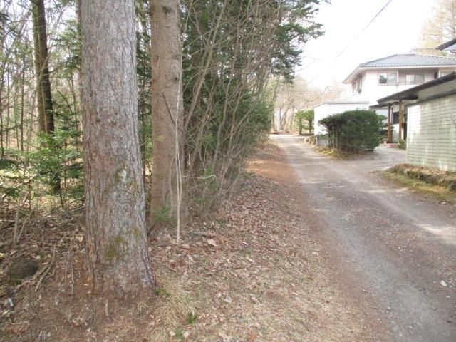 Land for Sale in Karuizawa, Nagano – 702.85 sqm - Thumbnail 3