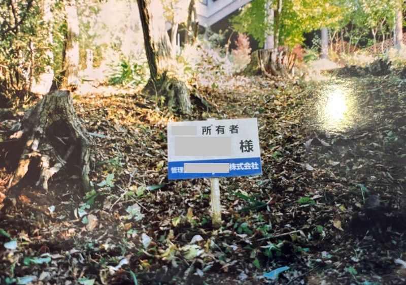 166 sqm Forested Land in Nasu Highlands Resort Area, Tochigi - Thumbnail 2