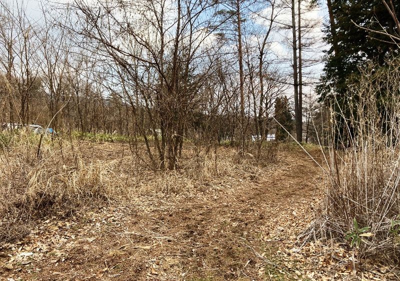 836 sqm Open Mountain Forest Land for Sale in Shiojiri, Nagano - Thumbnail 2