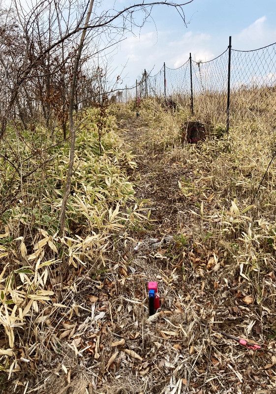 836 sqm Open Mountain Forest Land for Sale in Shiojiri, Nagano - Thumbnail 3