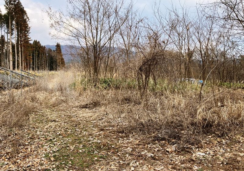 836 sqm Open Mountain Forest Land for Sale in Shiojiri, Nagano - Thumbnail 4