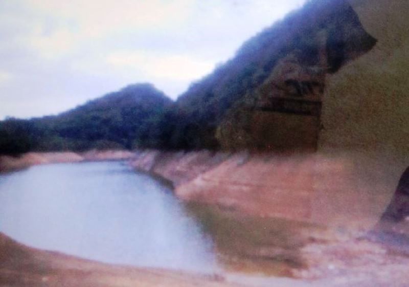 Expansive Forest Land for Sale in Kamigori Hyogo 61,110 sqm - Thumbnail 2