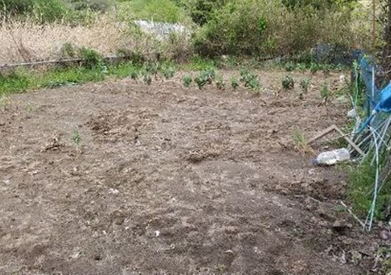 Farm Land for Sale in Natori City, Miyagi - 201 sqm - Thumbnail 3