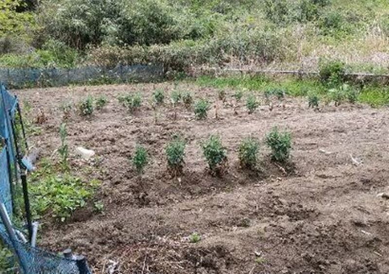 Farm Land for Sale in Natori City, Miyagi - 201 sqm - Thumbnail 2
