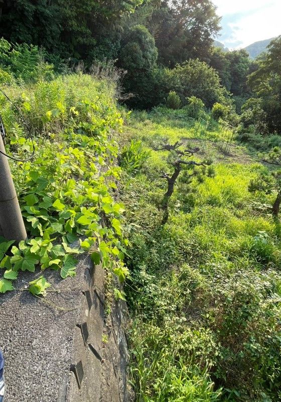 Land for Sale in Yokosuka, Kanagawa - 406 sqm - Thumbnail 3