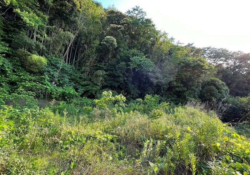 Land for Sale in Yokosuka, Kanagawa - 406 sqm - Thumbnail 4