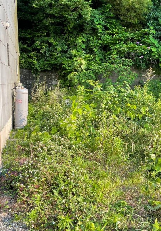Land for Sale in Yokosuka, Kanagawa - 406 sqm - Thumbnail 2