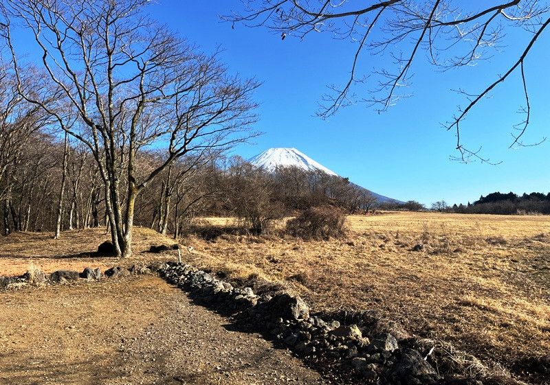 Land for Sale in Fujikawaguchiko with Mount Fuji Views - Thumbnail 2