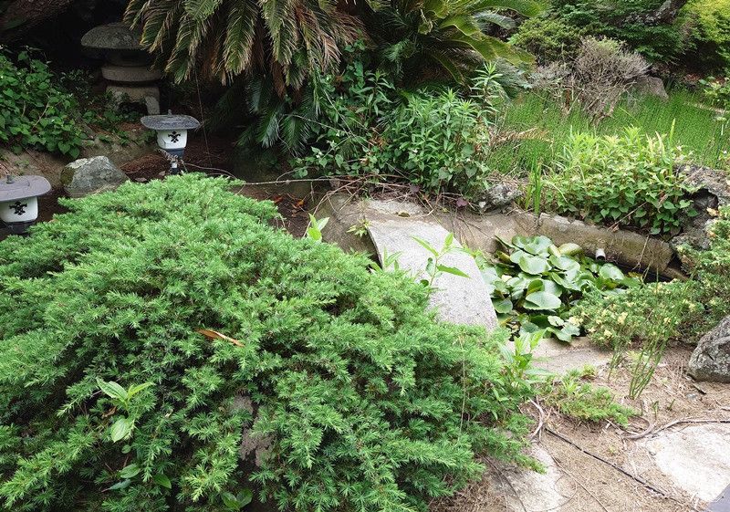 Large House with Land in Inashiki, Ibaraki for Sale - Thumbnail 4