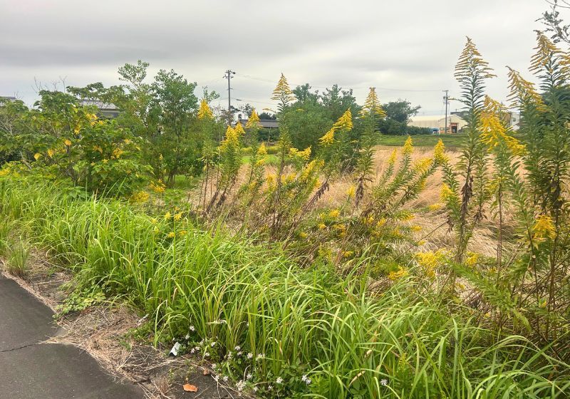 Land for Sale in Wanouchi-cho, Gifu - 800 tsubo - Thumbnail 3