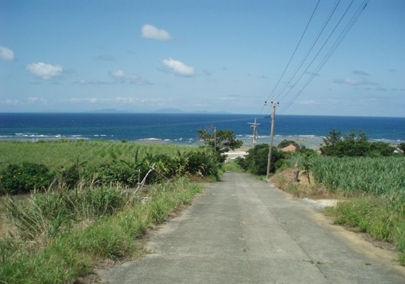 247sqm Land for Sale in Tokunoshima, Kagoshima - Thumbnail 3