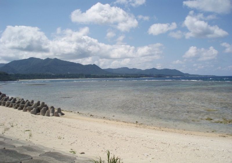 247sqm Land for Sale in Tokunoshima, Kagoshima - Thumbnail 2