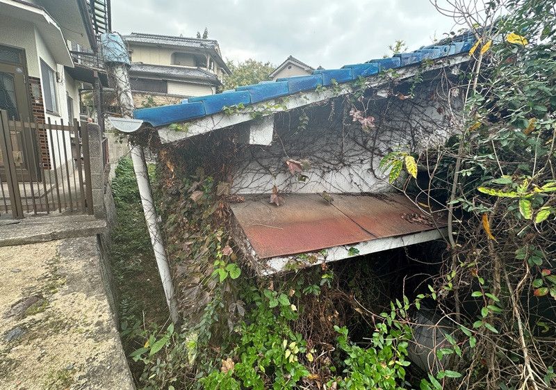 Large Land with Old House in Kure, Hiroshima - Bamboo Growth Through Structure - Thumbnail 4