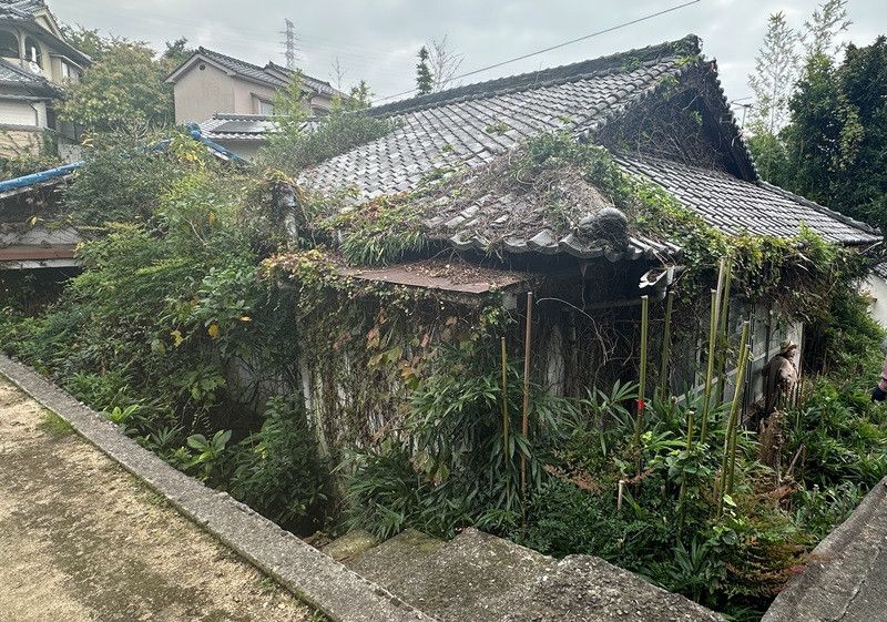 Large Land with Old House in Kure, Hiroshima - Bamboo Growth Through Structure - Thumbnail 2