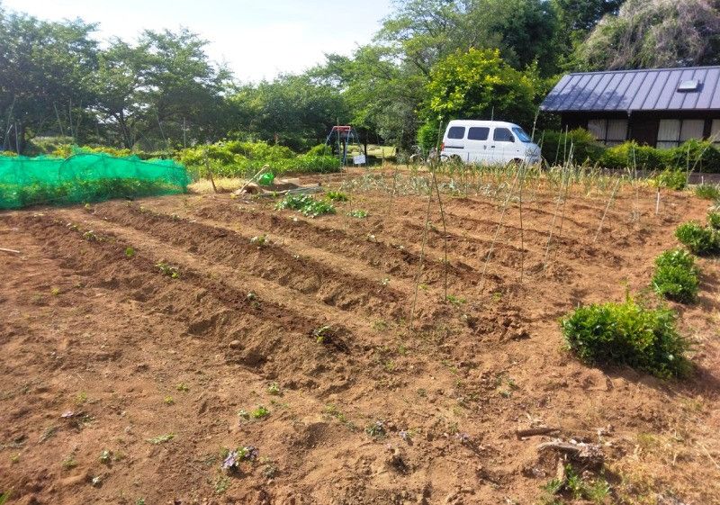 179 sqm Forest Land for Sale in Hasuda, Saitama - Thumbnail 2
