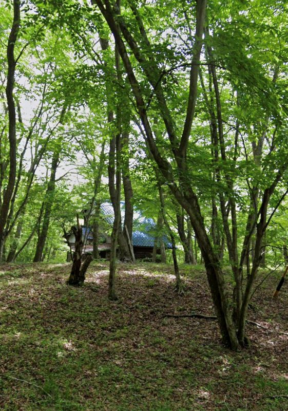 Mountain Cabin-Style Villa with Views in Saku, Nagano - Image 1