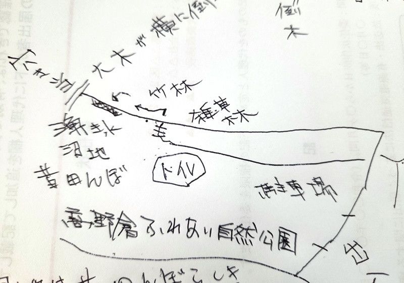 247 Tsubo Forest Land for Sale in Hatoyama, Saitama - Thumbnail 3