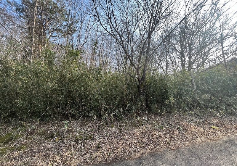 293 sqm Forest Land for Sale in Nasu Town, Tochigi - Thumbnail 2