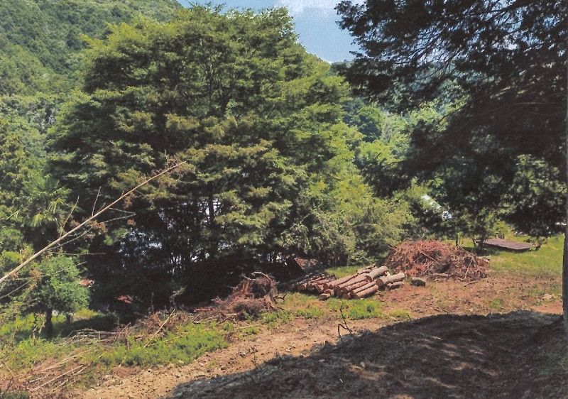 7,905 sqm Mountain Land for Sale in Bizen, Okayama - Thumbnail 3