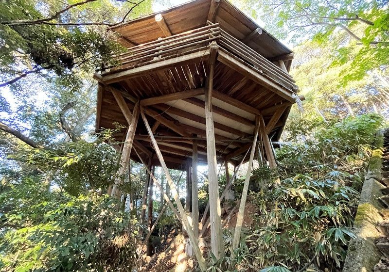 Unique Treehouse Property for Sale in Ine, Kyoto - Thumbnail 2