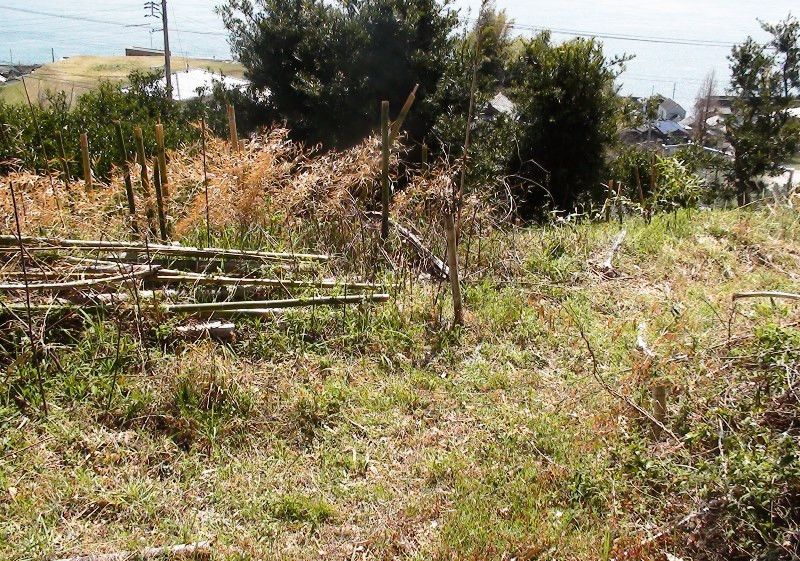 Farmland for Sale in Yanai, Yamaguchi with Sea Views - Thumbnail 3