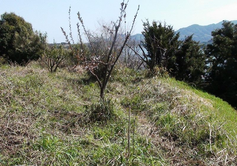 Farmland for Sale in Yanai, Yamaguchi with Sea Views - Thumbnail 2