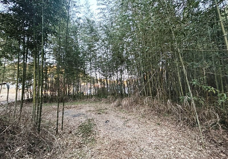 Land for Sale Near Narita Airport in Tako, Chiba - Thumbnail 3