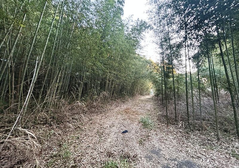 Land for Sale Near Narita Airport in Tako, Chiba - Thumbnail 4