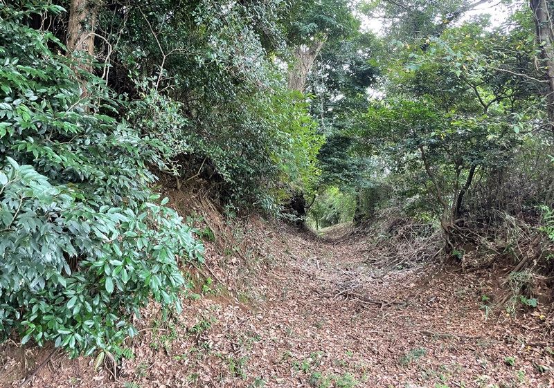 Vast Mountain Forest Land for Sale in Sodegaura, Chiba - Thumbnail 3