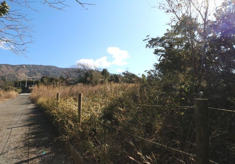 Spacious Residential Land in Central Motomachi, Izu Oshima, Tokyo - Thumbnail 4