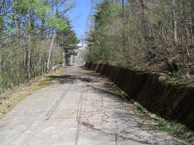 Land for Sale in Karuizawa, Nagano - 1,999 sqm - Thumbnail 2