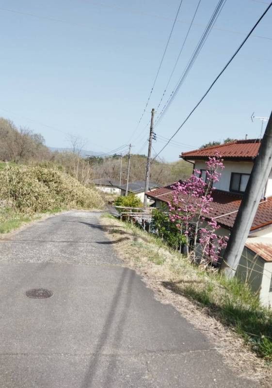 154 sqm Land for Sale in Fukushima City, Fukushima - Thumbnail 4