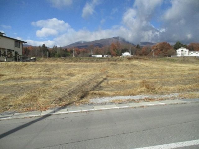 Land for Sale in Miyota Town, Nagano - 644.81 sqm - Thumbnail 4