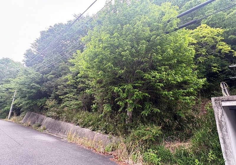 558 sqm Forest Land for Sale in Ako, Hyogo - Thumbnail 3