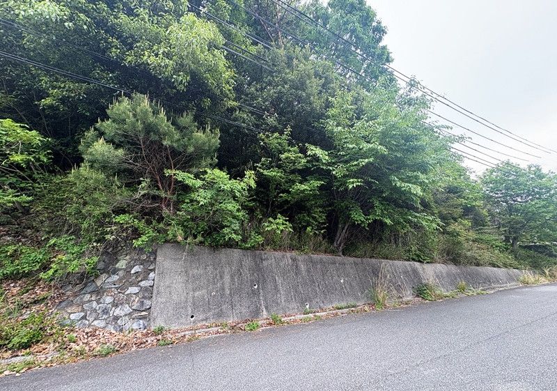 558 sqm Forest Land for Sale in Ako, Hyogo - Thumbnail 2