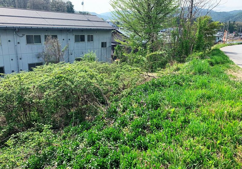 100 Tsubo Sloped Forest Land in Takayama City, Gifu - Thumbnail 3