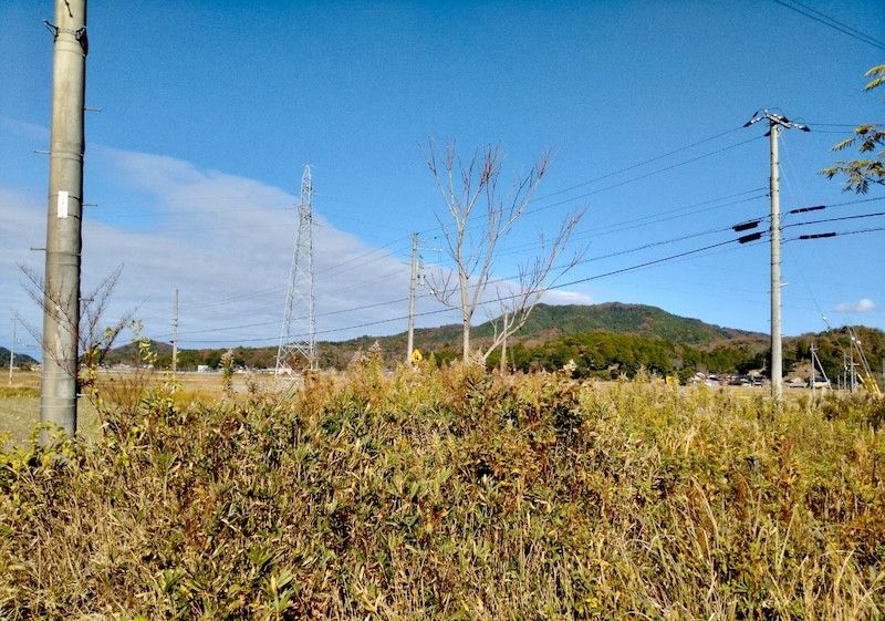 Land with Forest in Kyotango, Kyoto - 6,611 sqm - Thumbnail 2