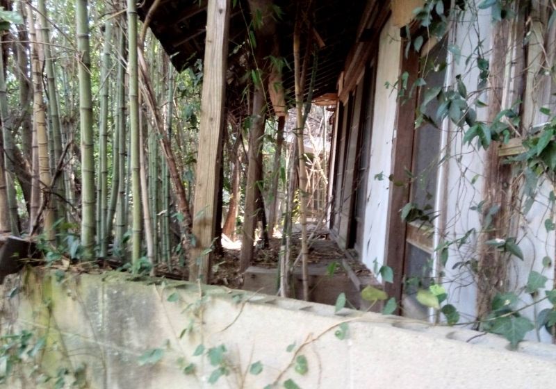 Overgrown Land with Dilapidated House in Okayama City for 300,000 Yen - Thumbnail 3