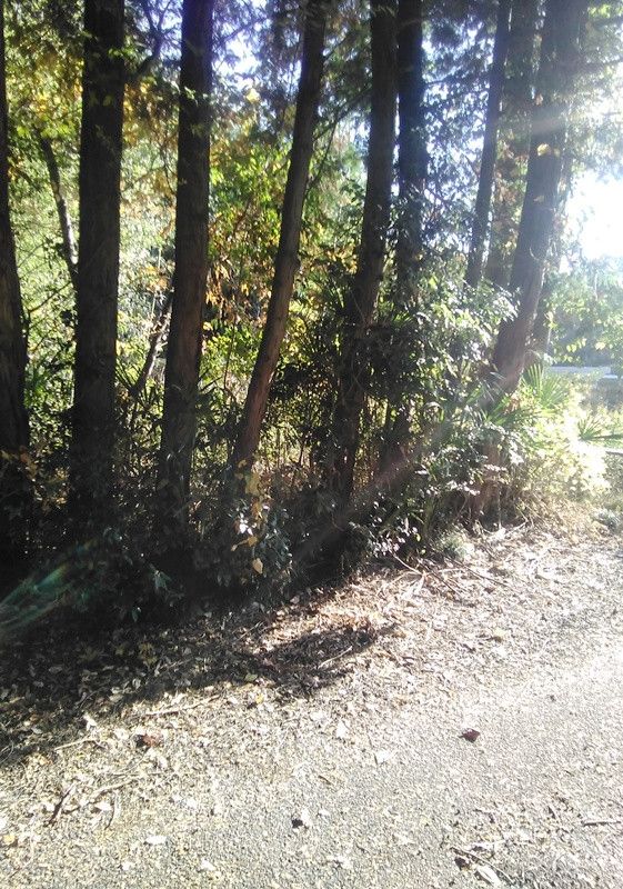 Triangular Land for Sale in Kasama City, Ibaraki - Thumbnail 4