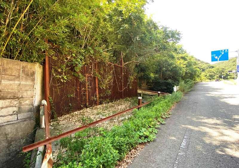 Vast 9,791 Tsubo Forested Land in Wakayama City for Development - Thumbnail 3