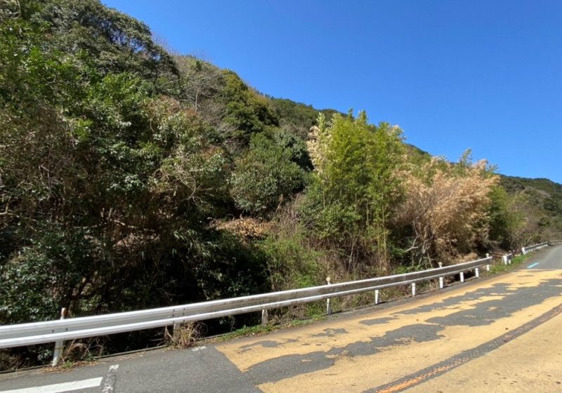Vast 9,791 Tsubo Forested Land in Wakayama City for Development - Thumbnail 2