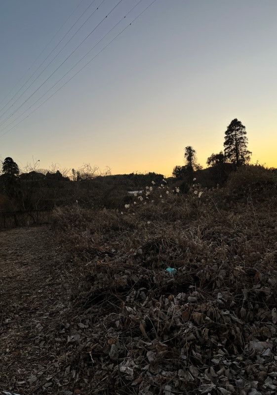 Land for Sale in Kōzaki, Chiba - 216.72 sqm - Thumbnail 4