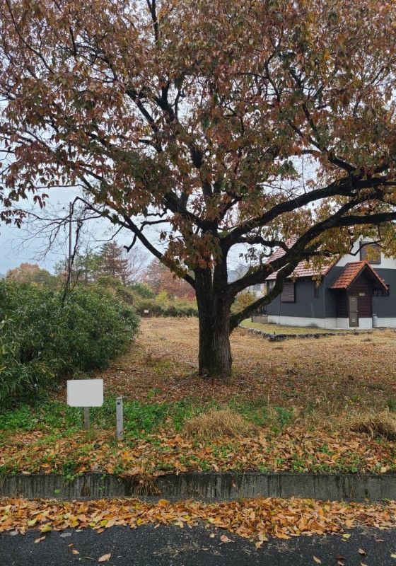 Land for Sale in Takashima City, Shiga Prefecture - 131 sqm - Thumbnail 2