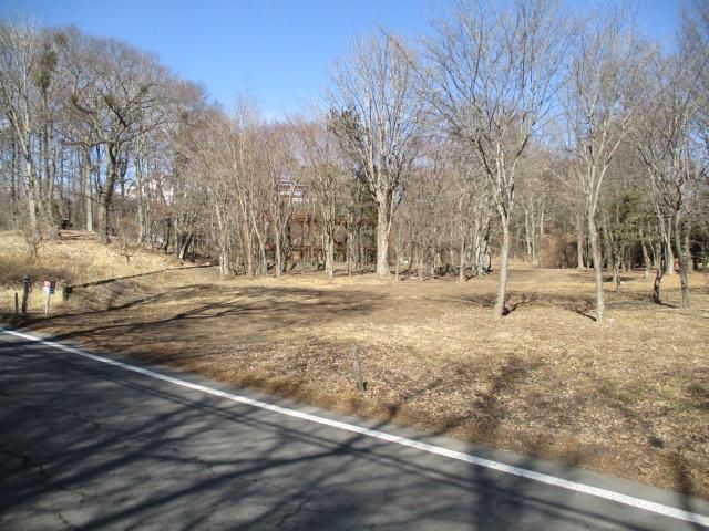 Land for Sale in Karuizawa, Nagano - 1,935 sqm - Thumbnail 2