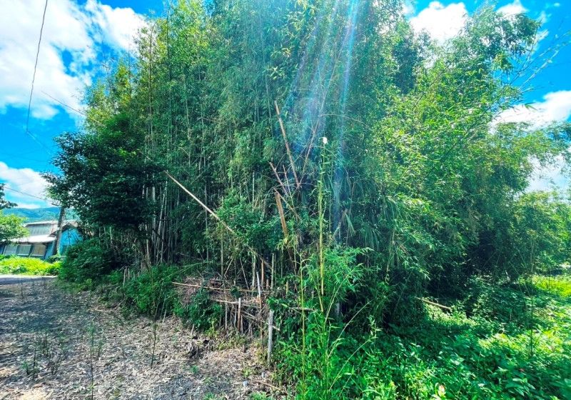418 sqm Vacant Land for Sale in Ebino, Miyazaki - Thumbnail 3
