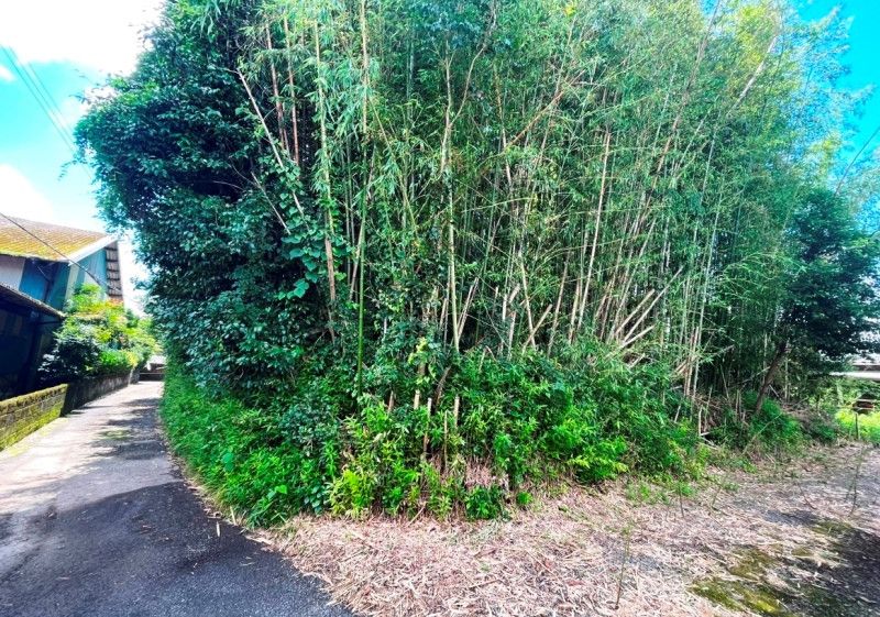 418 sqm Vacant Land for Sale in Ebino, Miyazaki - Thumbnail 4