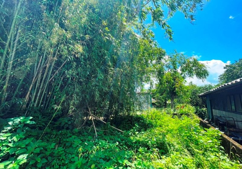 418 sqm Vacant Land for Sale in Ebino, Miyazaki - Thumbnail 2